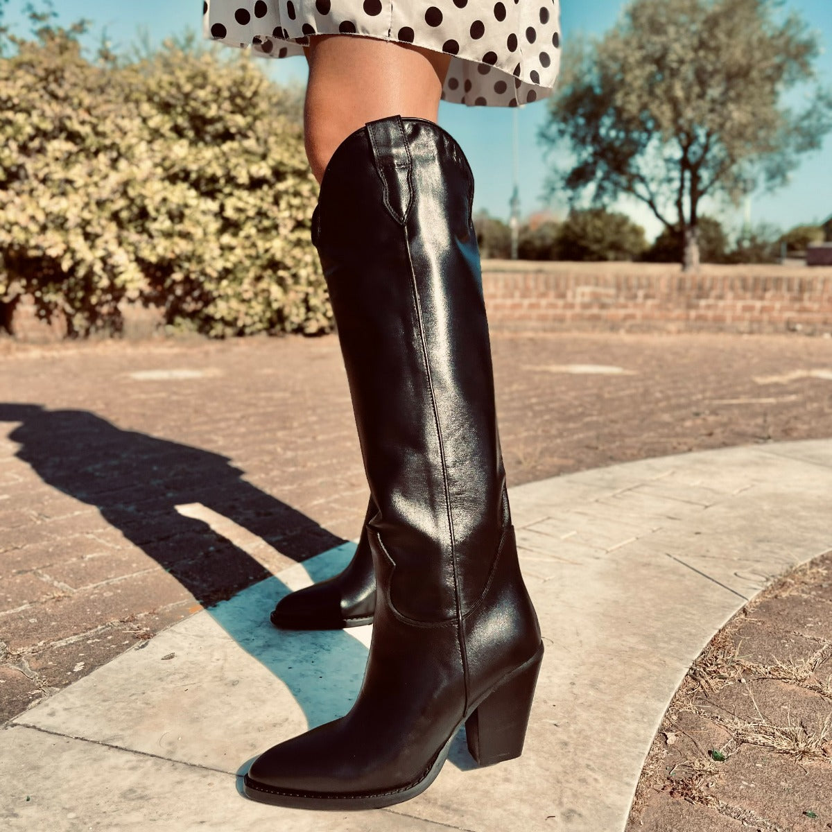 Stivali Camperos Camperos Coccodrillo Stivali Texani Coccodrillo